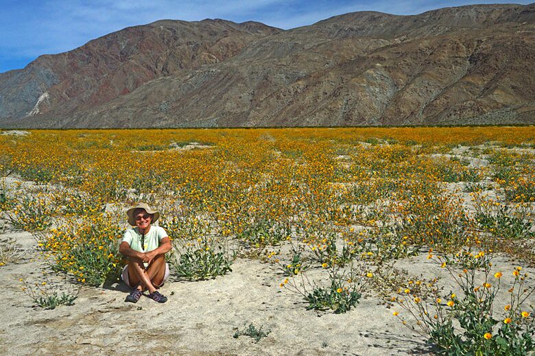 Borrego Springs/La Quinta - Borrego Springs, California