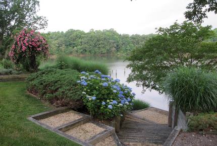 Chesapeake Bay Treehouse - Edgewater, Maryland
