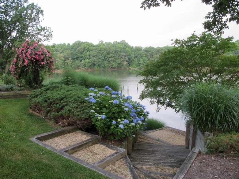 Chesapeake Bay Treehouse - Edgewater, Maryland