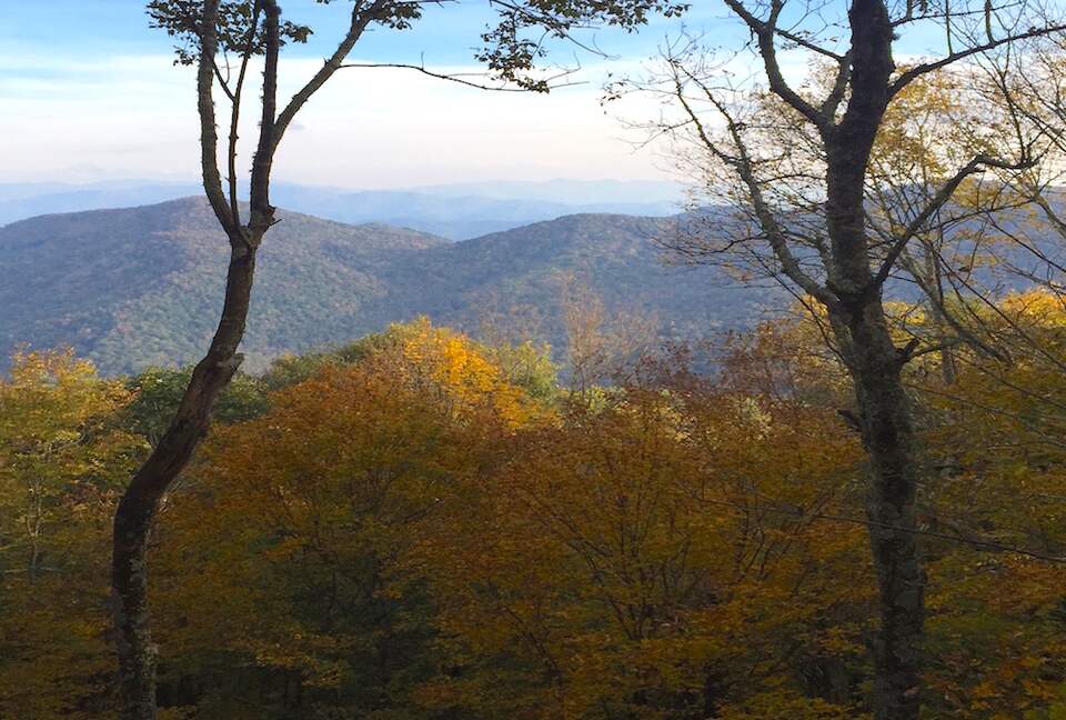 Grouse Thicket Cabin - Mars Hill, North Carolina