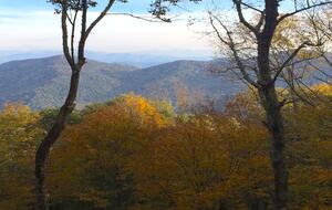 Grouse Thicket Cabin - Mars Hill, North Carolina