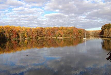 Chesapeake Bay Treehouse - Edgewater, Maryland