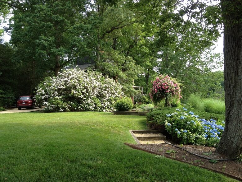 Chesapeake Bay Treehouse - Edgewater, Maryland