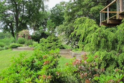 Chesapeake Bay Treehouse - Edgewater, Maryland