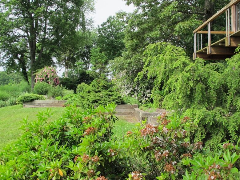 Chesapeake Bay Treehouse - Edgewater, Maryland