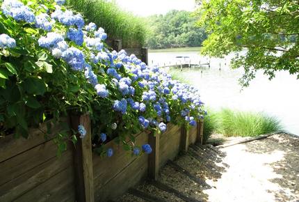 Chesapeake Bay Treehouse - Edgewater, Maryland