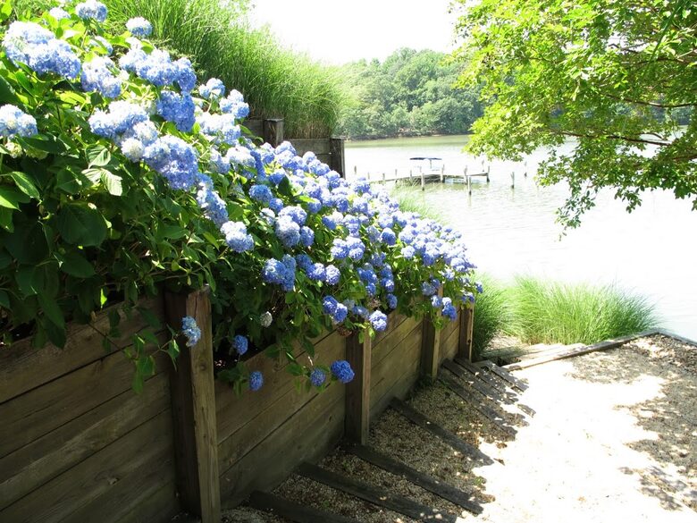 Chesapeake Bay Treehouse - Edgewater, Maryland