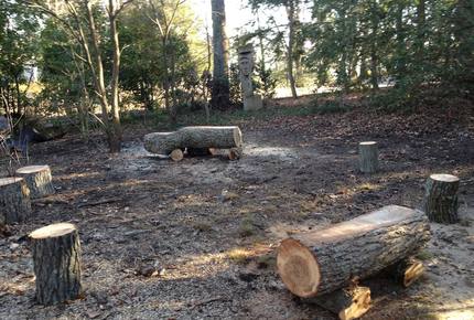 Chesapeake Bay Treehouse - Edgewater, Maryland