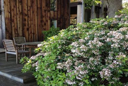 Chesapeake Bay Treehouse - Edgewater, Maryland