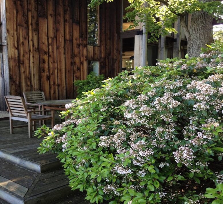 Chesapeake Bay Treehouse - Edgewater, Maryland