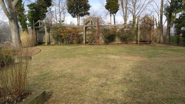 Chesapeake Bay Treehouse - Edgewater, Maryland