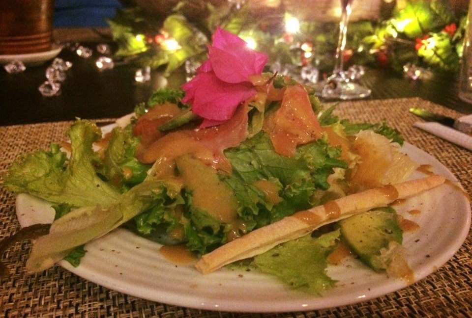 Luxury Ocean View Villa with 5 Star Personalized Service - Playa Samara, Costa Rica