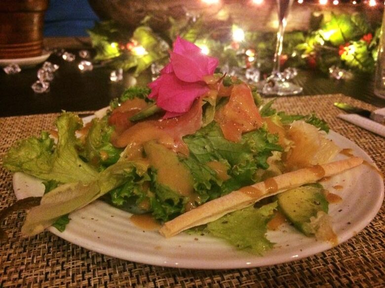 Luxury Ocean View Villa with 5 Star Personalized Service - Playa Samara, Costa Rica