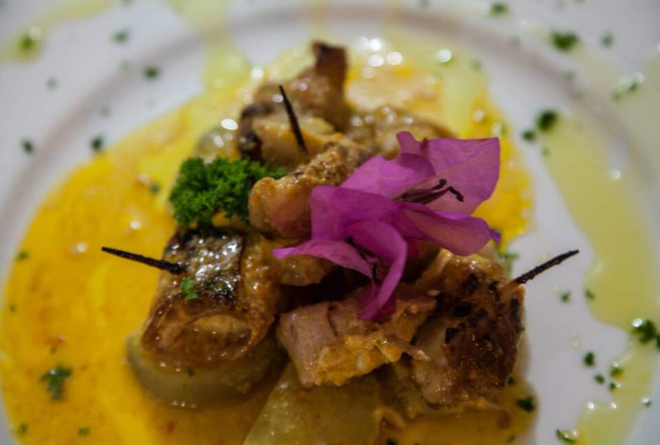 Luxury Ocean View Villa with 5 Star Personalized Service - Playa Samara, Costa Rica