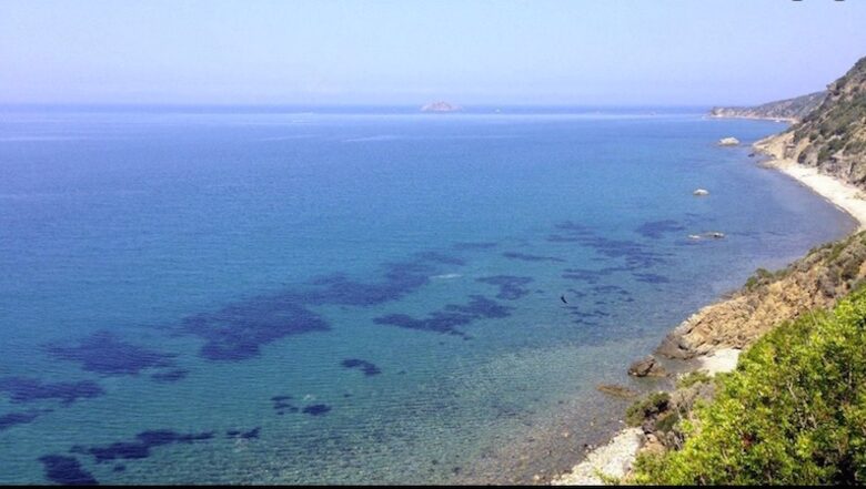 Villa Punta Ala - Punta Ala, Italy