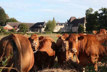 Chateau de Lalande - Crozon sur Vauvre, France