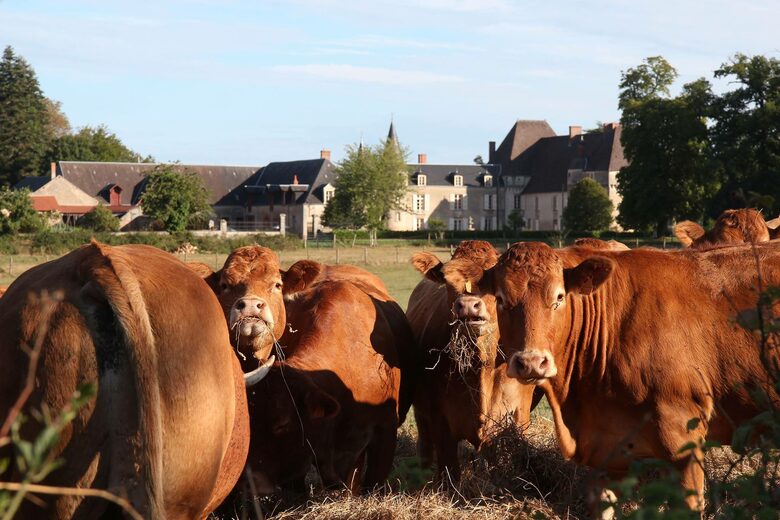 Chateau de Lalande - Crozon sur Vauvre, France