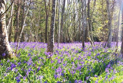 Chateau de Lalande - Crozon sur Vauvre, France