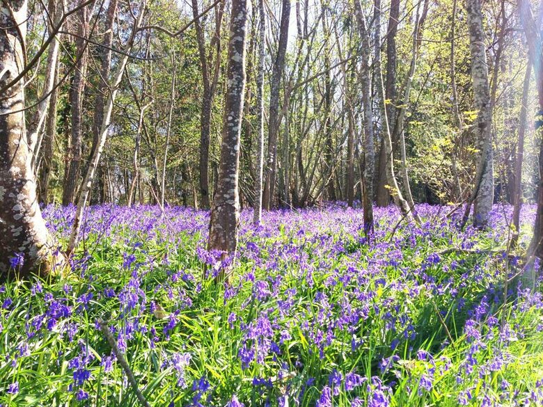 Chateau de Lalande - Crozon sur Vauvre, France