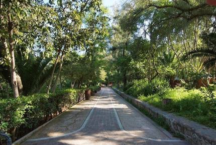 Casa Mia Sunshine - San Miguel de Allende, Mexico