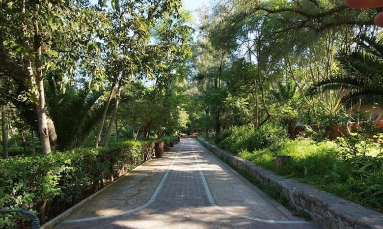 Casa Mia Sunshine - San Miguel de Allende, Mexico