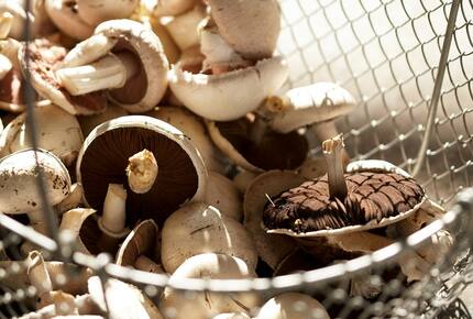 Chateau de Lalande - Crozon sur Vauvre, France