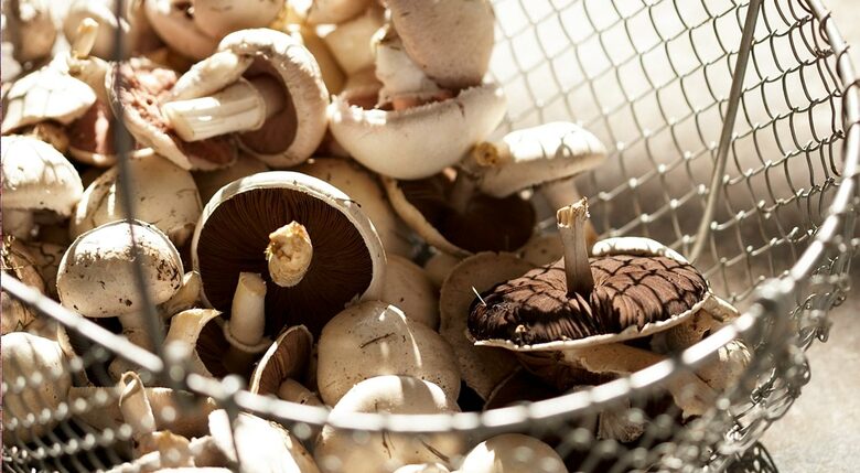 Chateau de Lalande - Crozon sur Vauvre, France