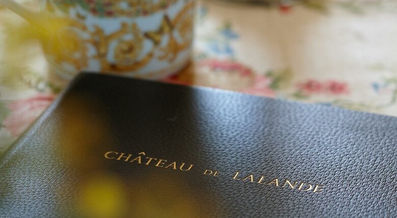 Chateau de Lalande - Crozon sur Vauvre, France