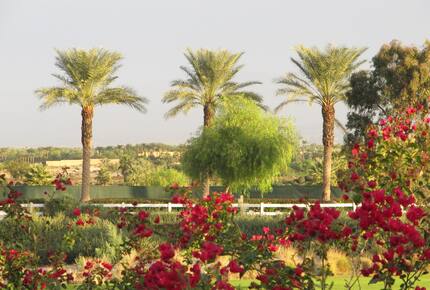 Desert Tranquility - La Quinta, California