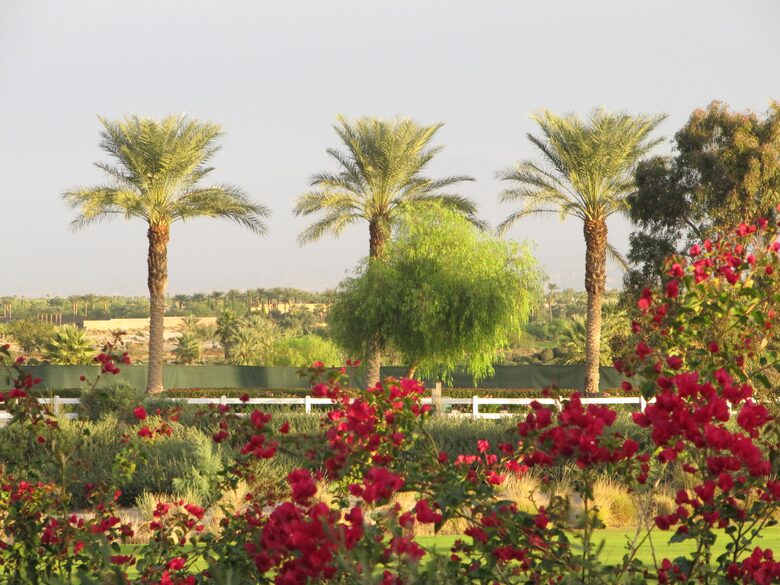 Desert Tranquility - La Quinta, California