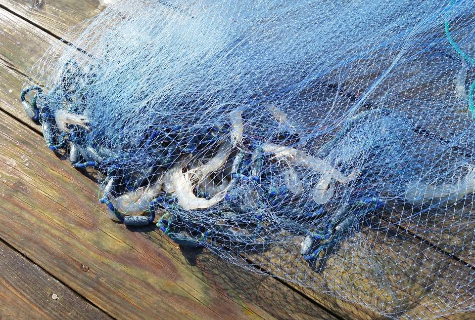 Beautiful Grace Point Cape Romain - McClellanville, South Carolina