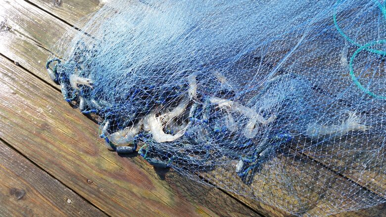 Beautiful Grace Point Cape Romain - McClellanville, South Carolina