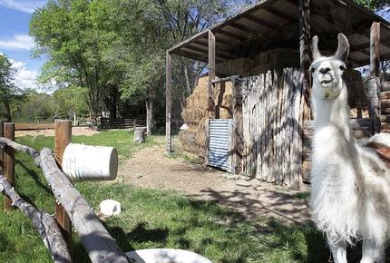 Abode Wonderland near Taos - Ranchos De Taos, New Mexico
