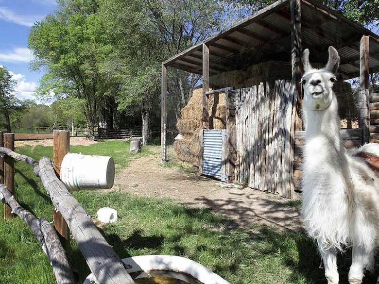 Abode Wonderland near Taos - Ranchos De Taos, New Mexico