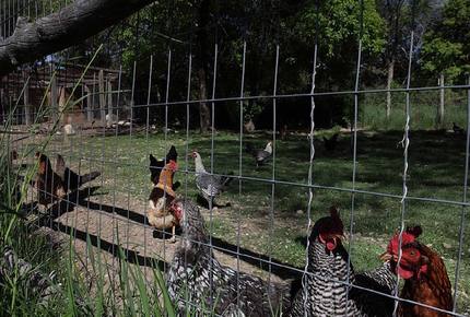 Abode Wonderland near Taos - Ranchos De Taos, New Mexico