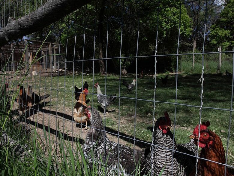 Abode Wonderland near Taos - Ranchos De Taos, New Mexico
