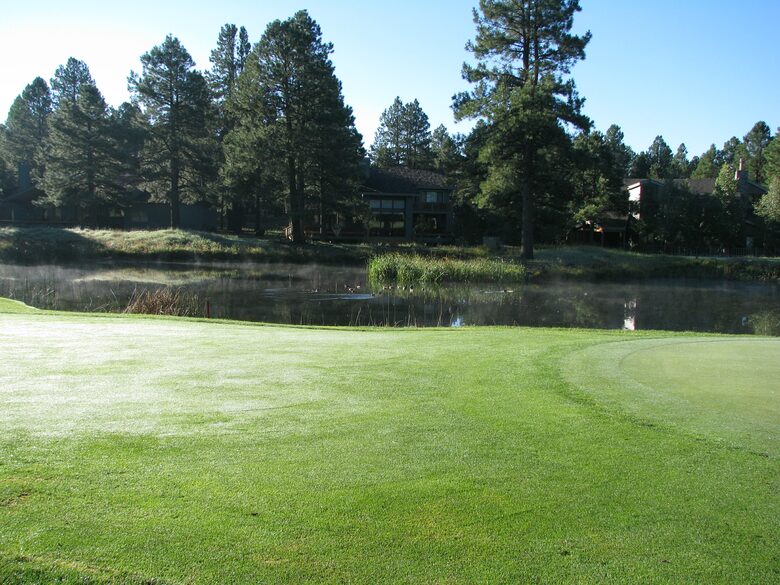 SKI OR GOLF IN THE MAGICAL FOREST - Flagstaff, Arizona