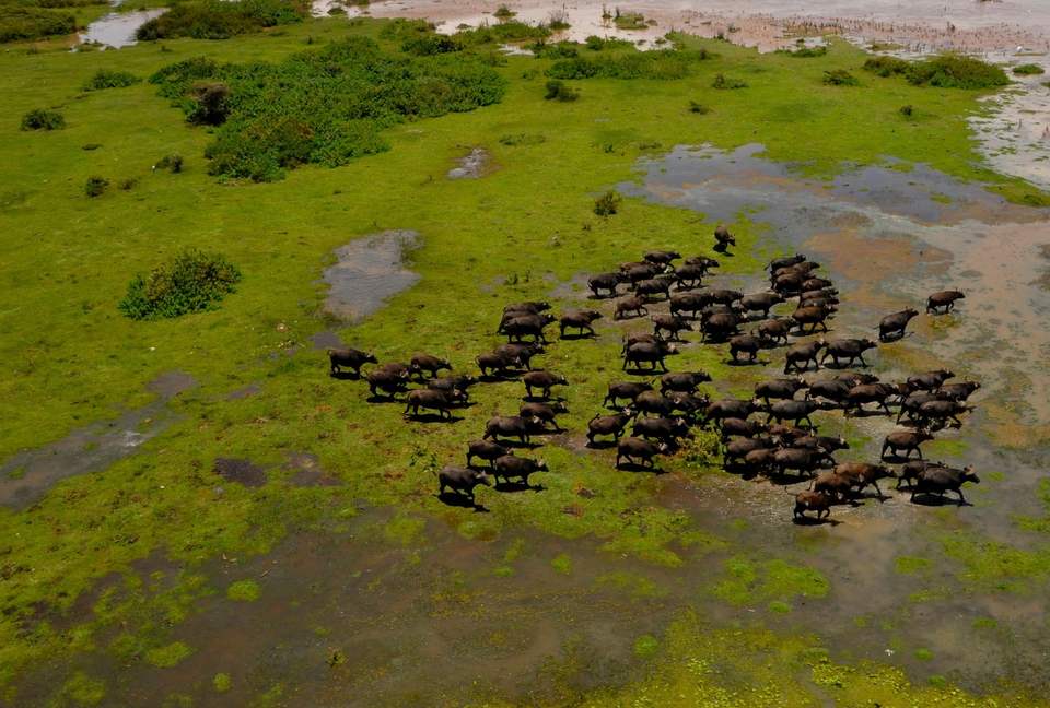 Hippo Point Kenya - Naivasha, Kenya