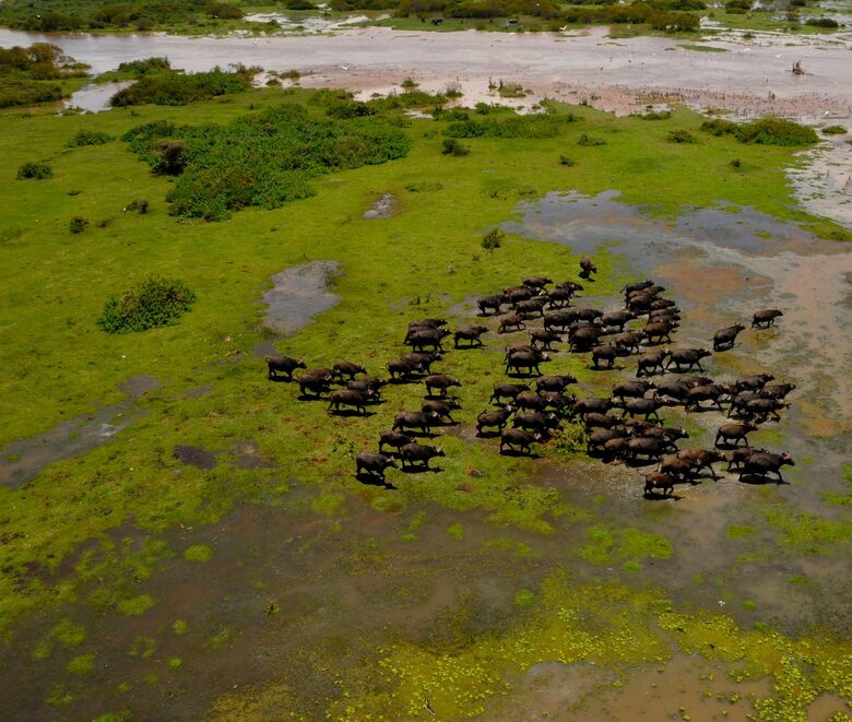 Hippo Point Kenya - Naivasha, Kenya