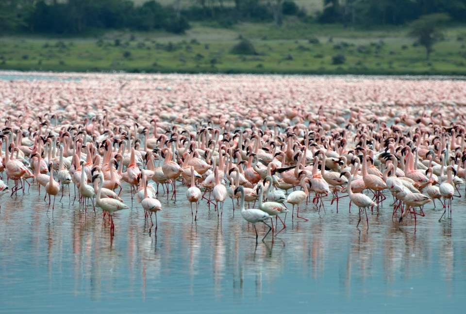 Hippo Point Kenya - Naivasha, Kenya