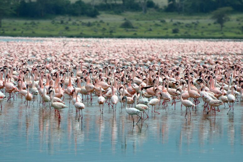 Hippo Point Kenya - Naivasha, Kenya