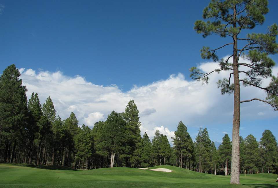 SKI OR GOLF IN THE MAGICAL FOREST - Flagstaff, Arizona