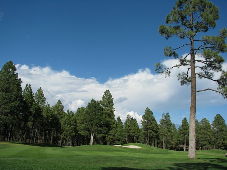 SKI OR GOLF IN THE MAGICAL FOREST - Flagstaff, Arizona