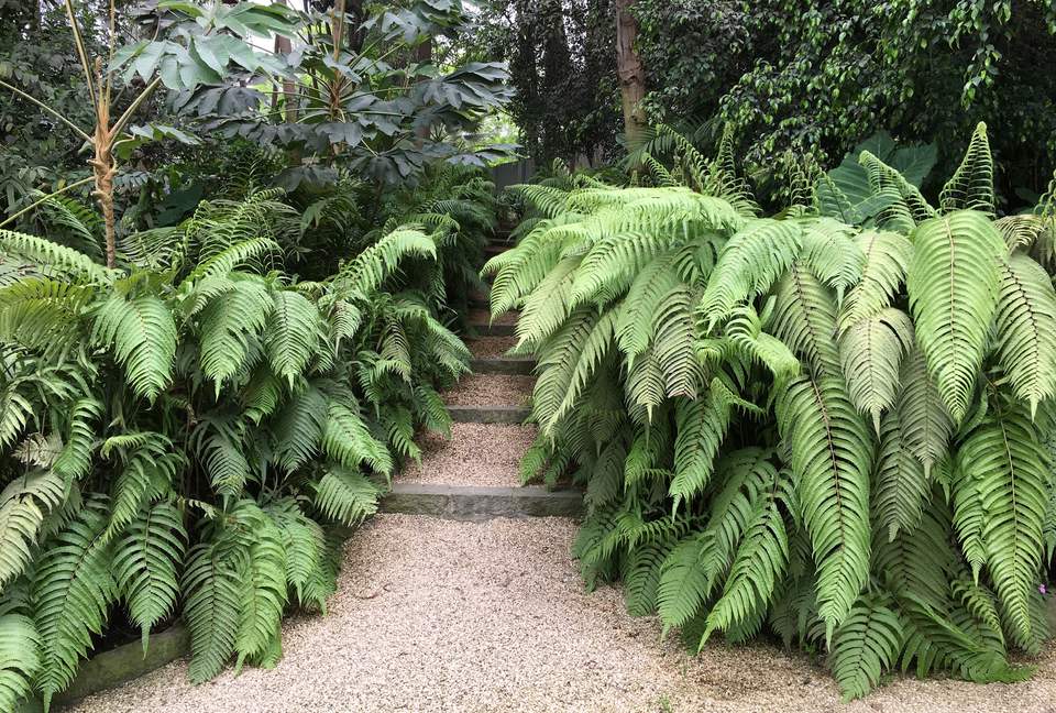 El Jardin de los Condores - Chaclacayo, Peru