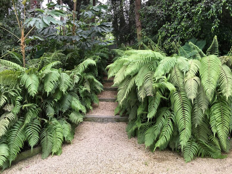 El Jardin de los Condores - Chaclacayo, Peru