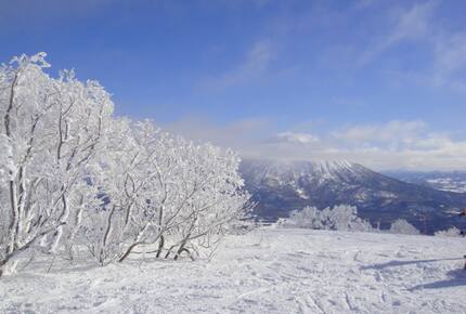 Niseko Snow Chalet - Hirafu Village Niseko, Japan