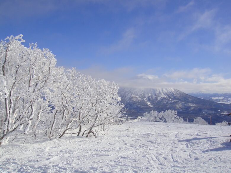 Niseko Snow Chalet - Hirafu Village Niseko, Japan