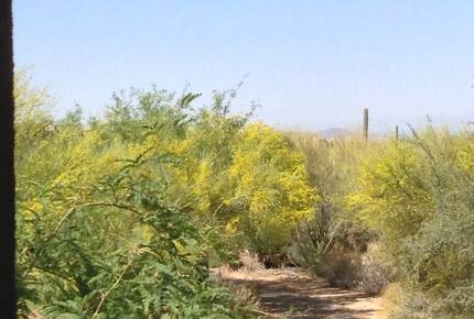 Troon Monument Course at 9th Green - Scottsdale, Arizona