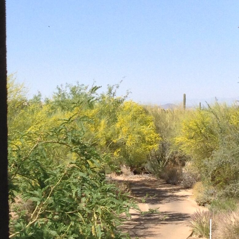 Troon Monument Course at 9th Green - Scottsdale, Arizona