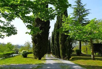 Podere Vigliano - Monteleone d'Orvieto - Terni, Italy